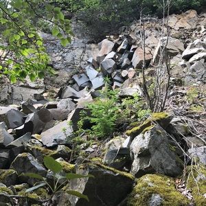 Meet your Posher, Adadam